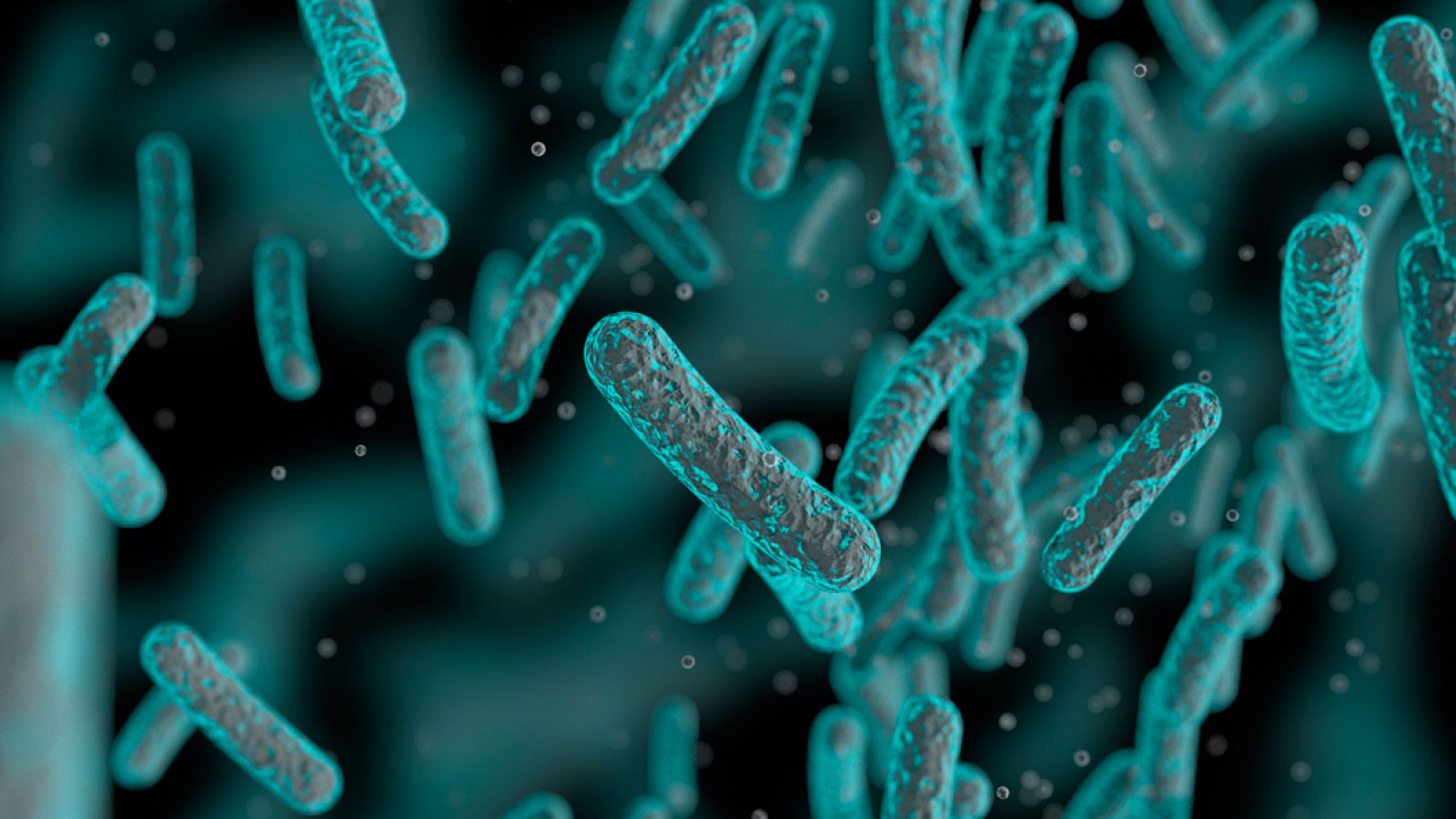 Bacterias y microbios