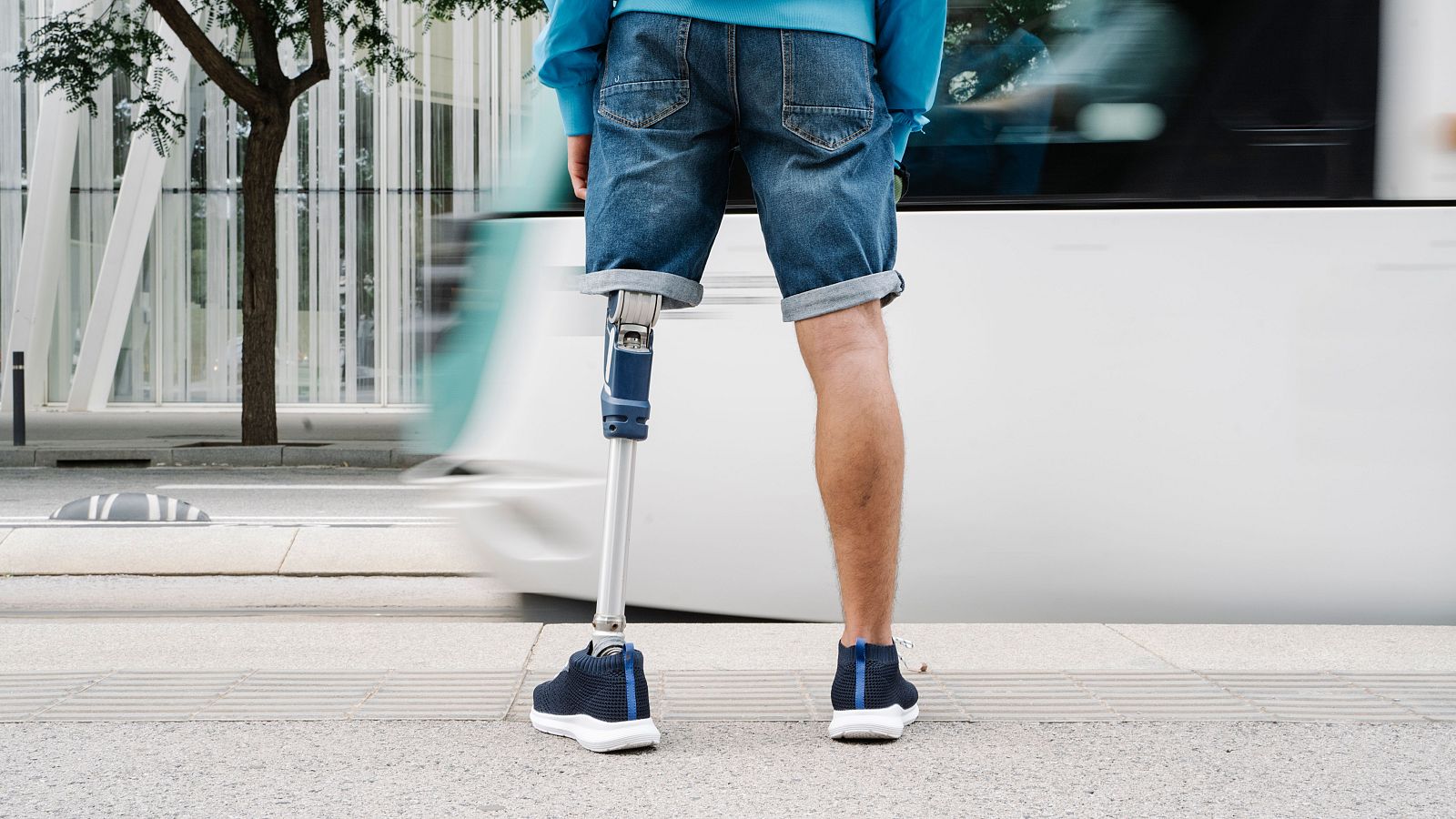 El fin de la palabra "disminuido" en la Constitución