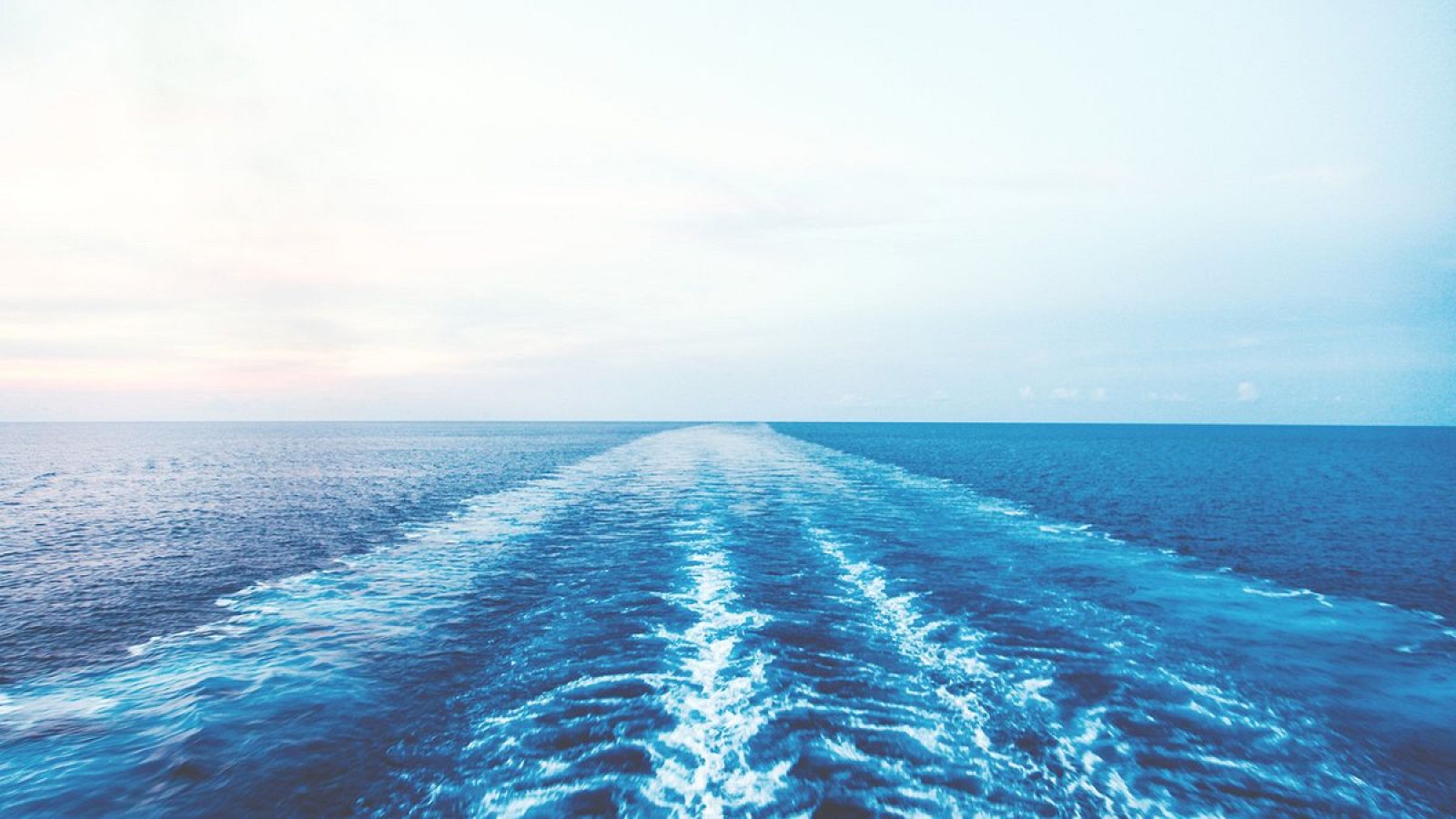 Consulta la programación de agosto