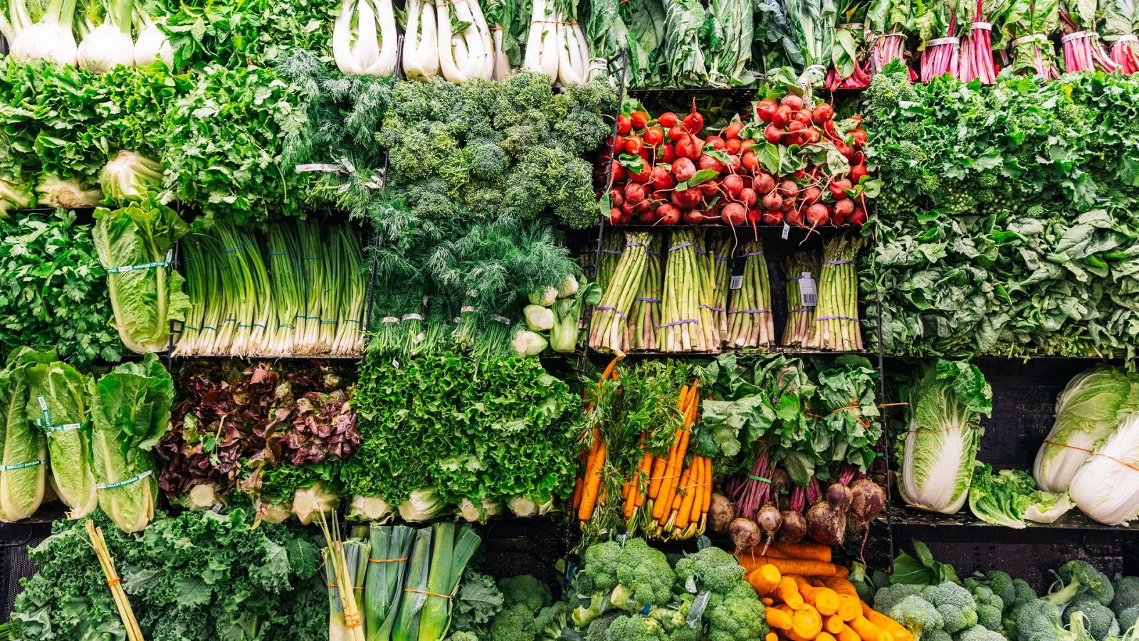 Verduras de invierno y cómo elegirlas