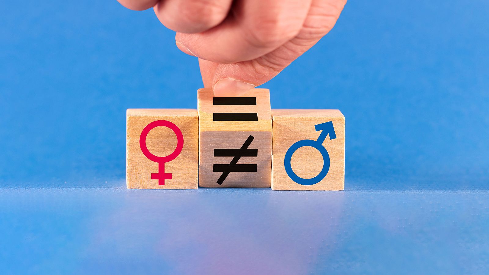 Los datos de la encuesta del CIS sobre igualdad entre hombres y mujeres