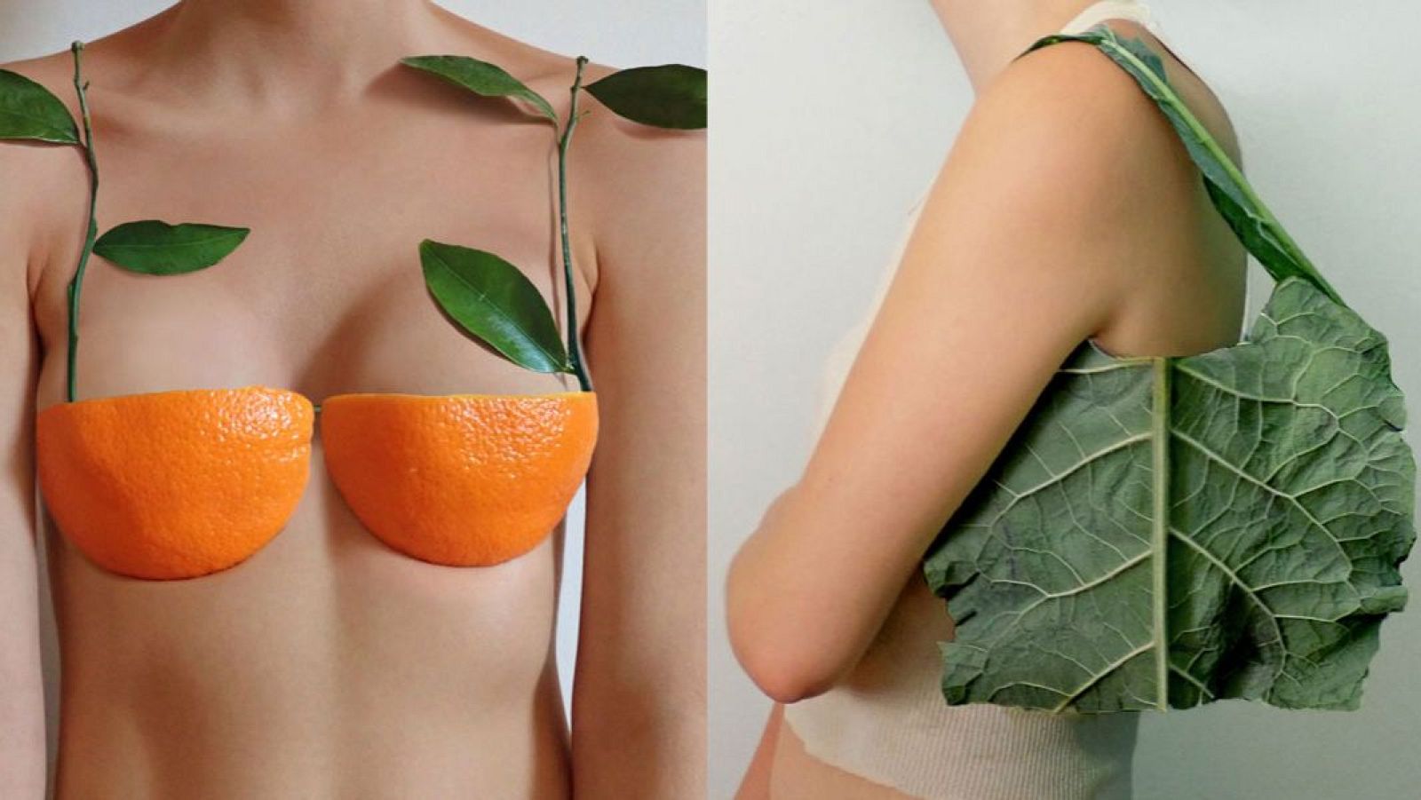 Gab Bois (Montreal). Su leit motif: hacer cosas extraordinarias con materiales ordinarios.