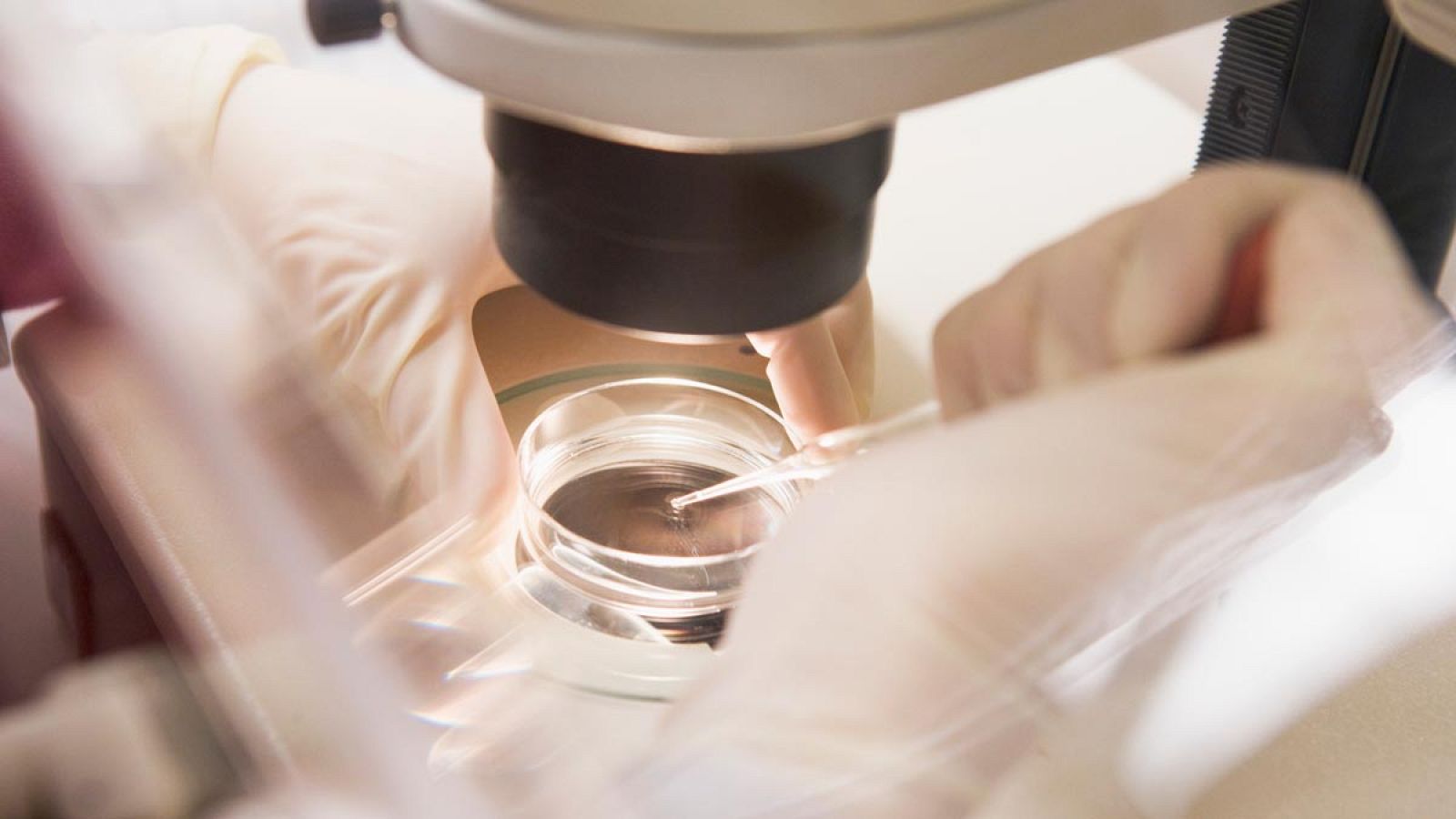 El estudio proporcionaría información avanzada acerca del estado del embrión.