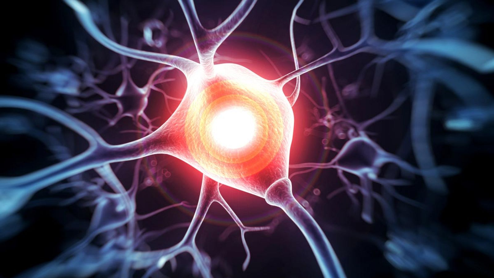En España las enfermedades cerebrovasculares son la segunda causa de muerte.