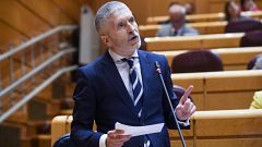 Marlaska pide no "trivializar" el terrorismo y el PP le reprocha la amnistía de quienes "apedreaban a la Policía"