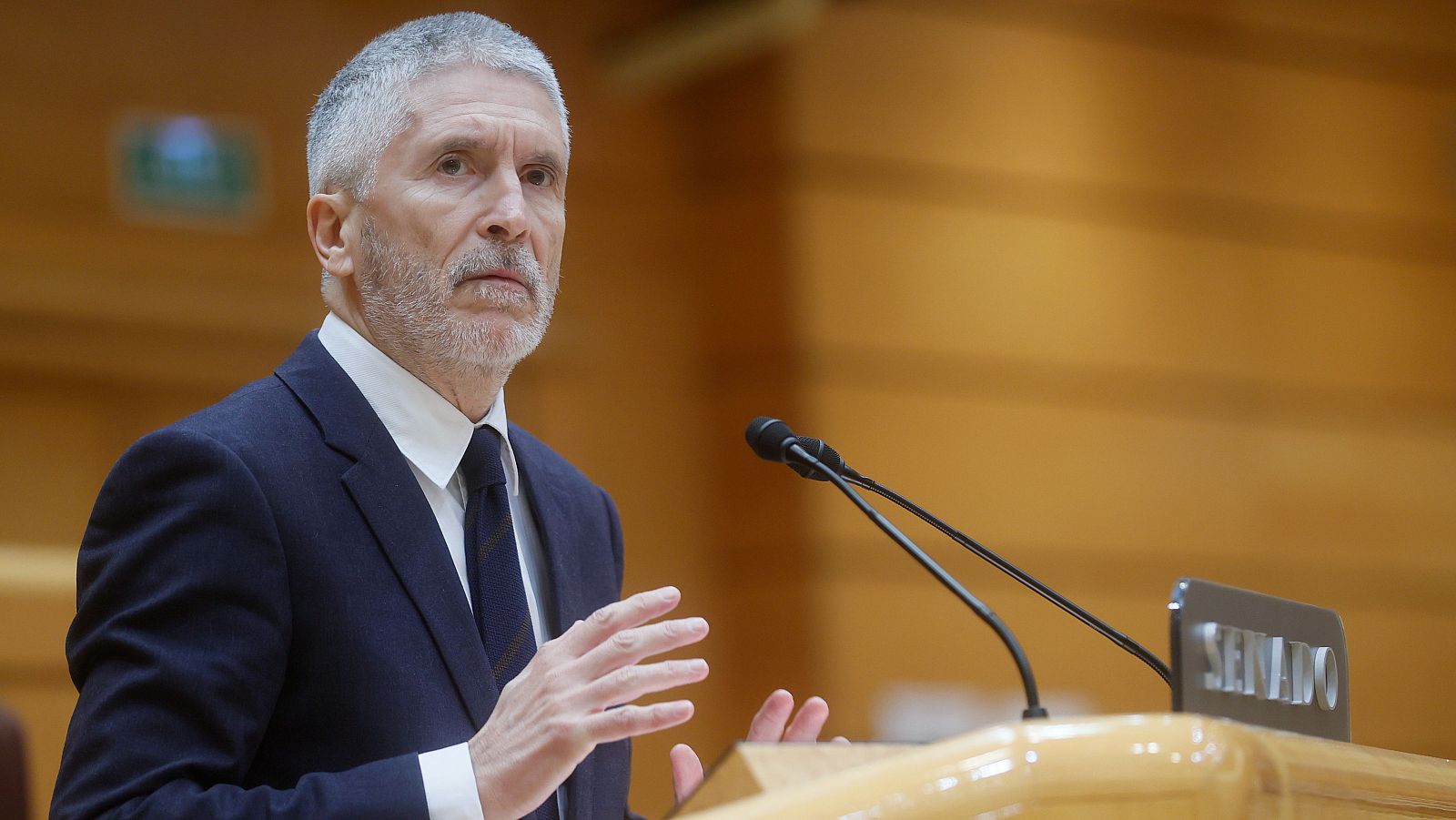 Fernando Grande-Marlaska