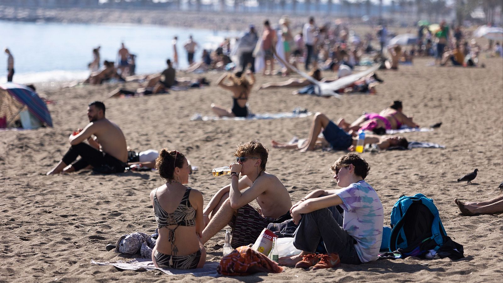 Enero fue el mes más cálido desde que existen registros.