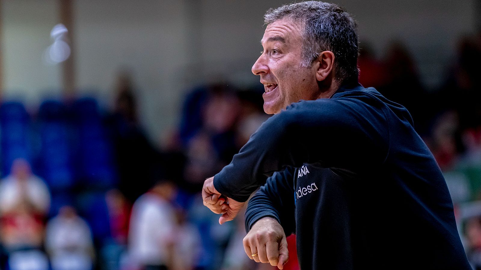 Miguel Méndez, durante el partido entre España y Japón