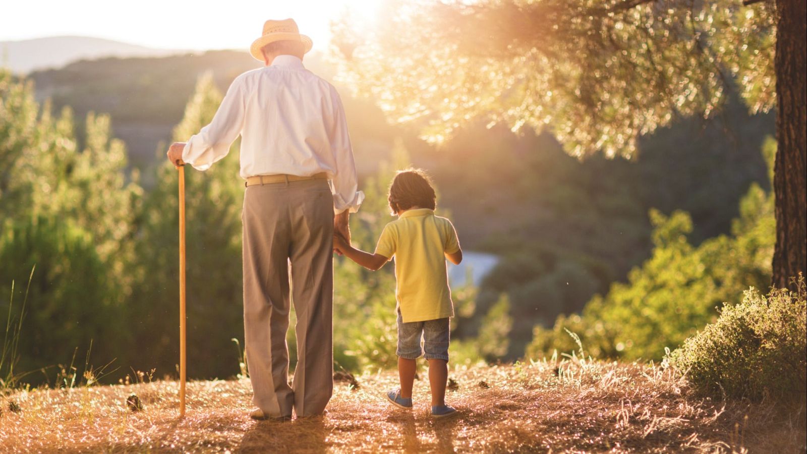 Radiografía del envejecimiento en Galicia
