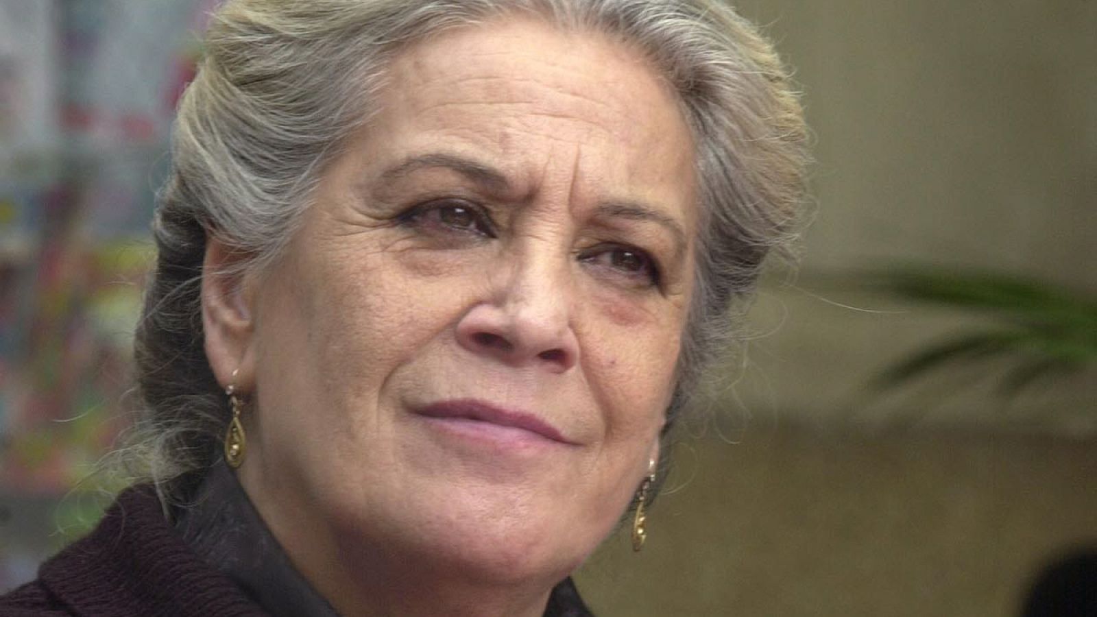 La actriz Terele Pávez durante la presentación de la tercera temporada de la serie de Televisión Española 'Cuéntame cómo pasó'