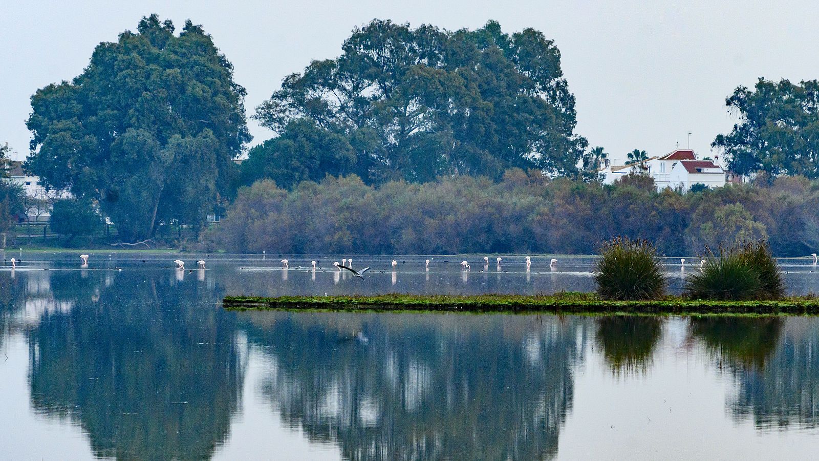 Vista de las marismas junto a la aldea de El Rocío en el Parque Nacional de Doñana.
