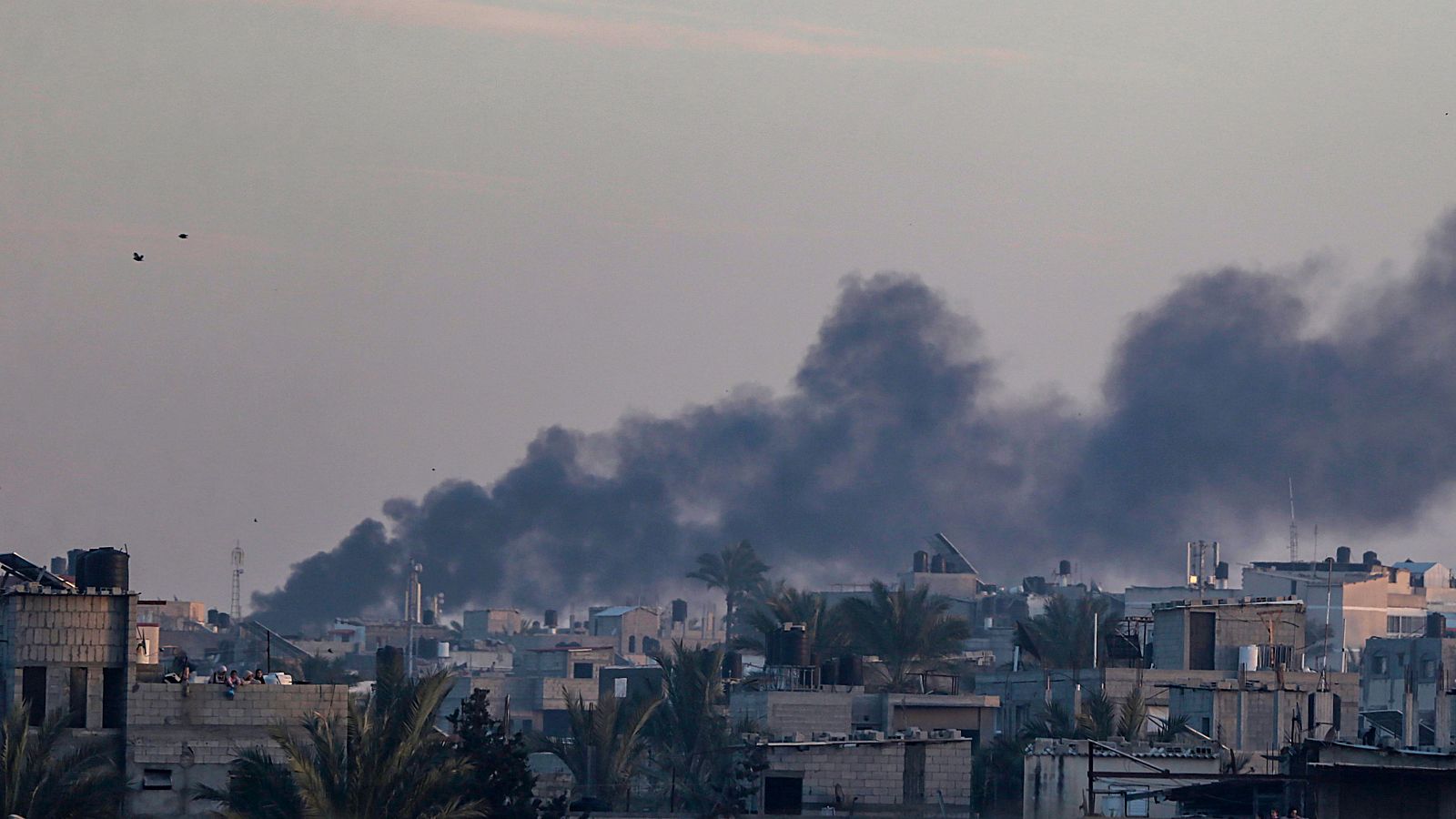 Guerra en Gaza, en directo