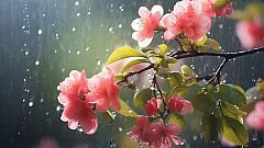 Com serà la primavera meteorològica?