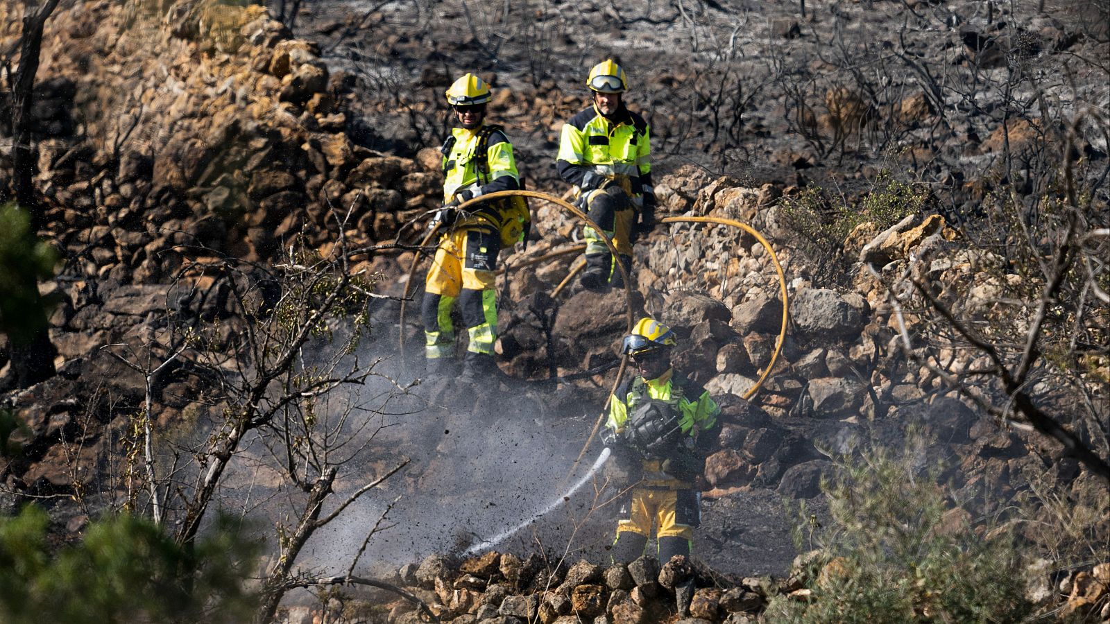 El Gobierno aprueba el estatuto de bomberos forestales y agentes medioambientales