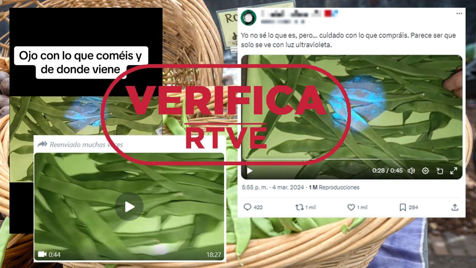 Este vídeo no demuestra que las judías verdes de Marruecos sean un riesgo para salud