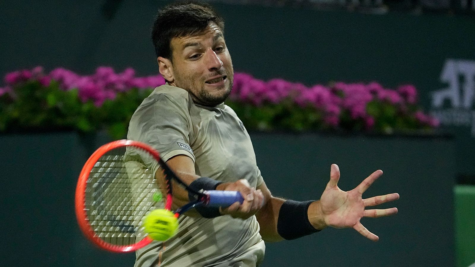 Bernabé Zapata, ante Fabio Fognini