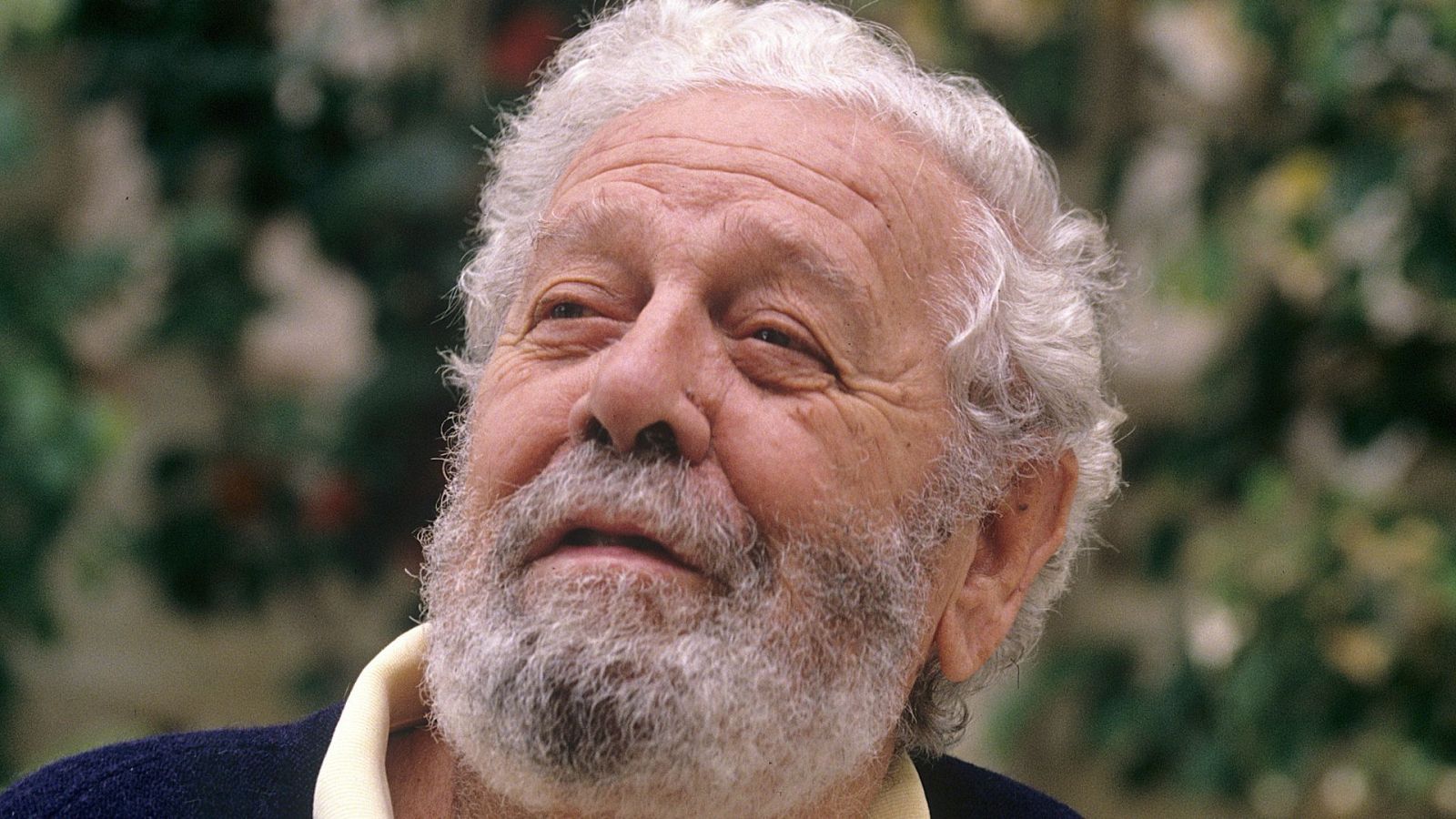 Luis García Berlanga