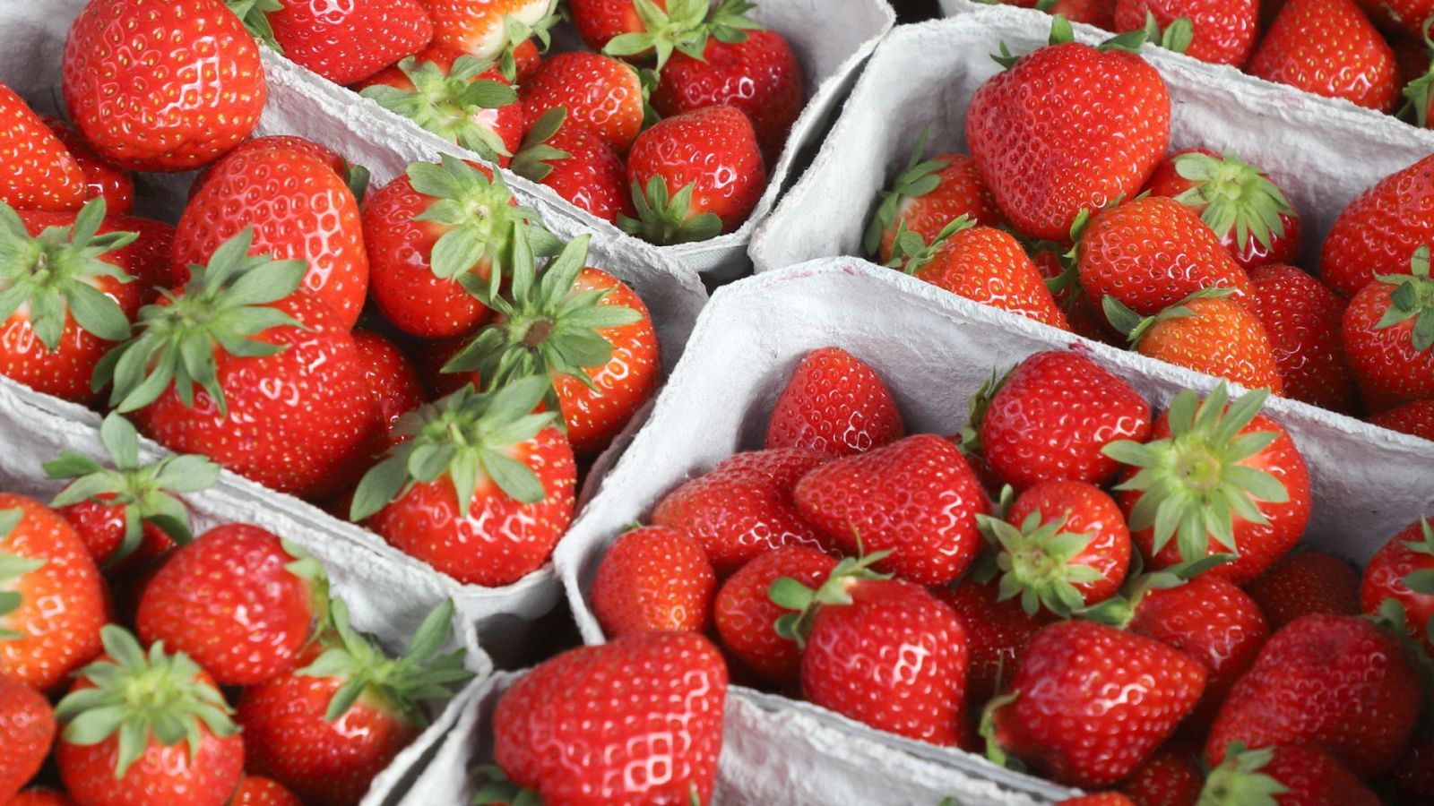 Aitor Sánchez analiza el reciente caso de alerta y desinformación tras la detección del virus de la hepatitis A en fresas importadas de Marruecos