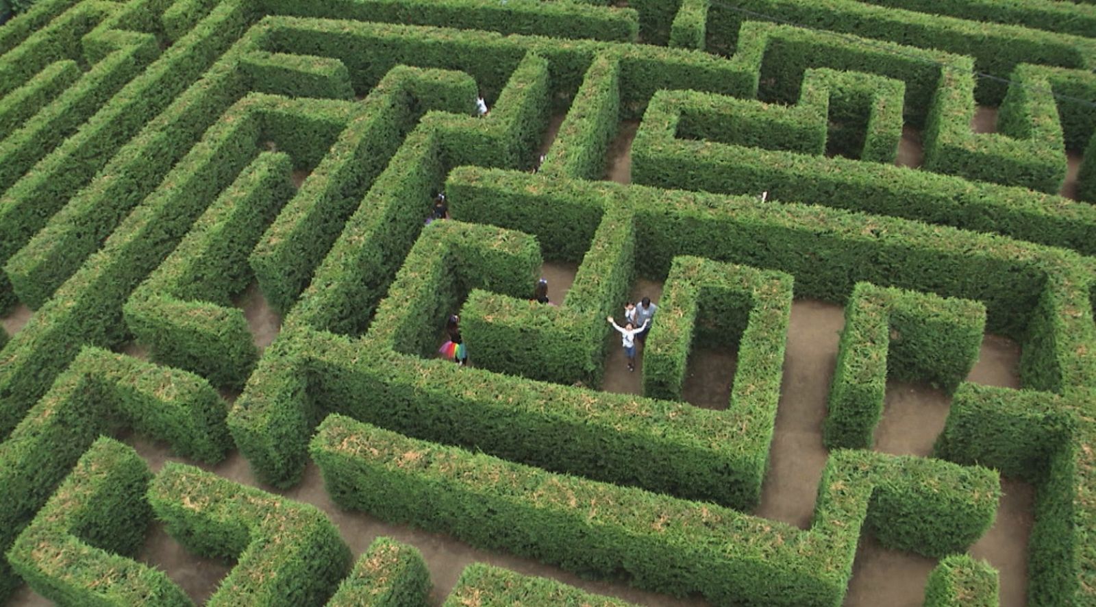 El labertinto más grande de Europa, en Cantabria