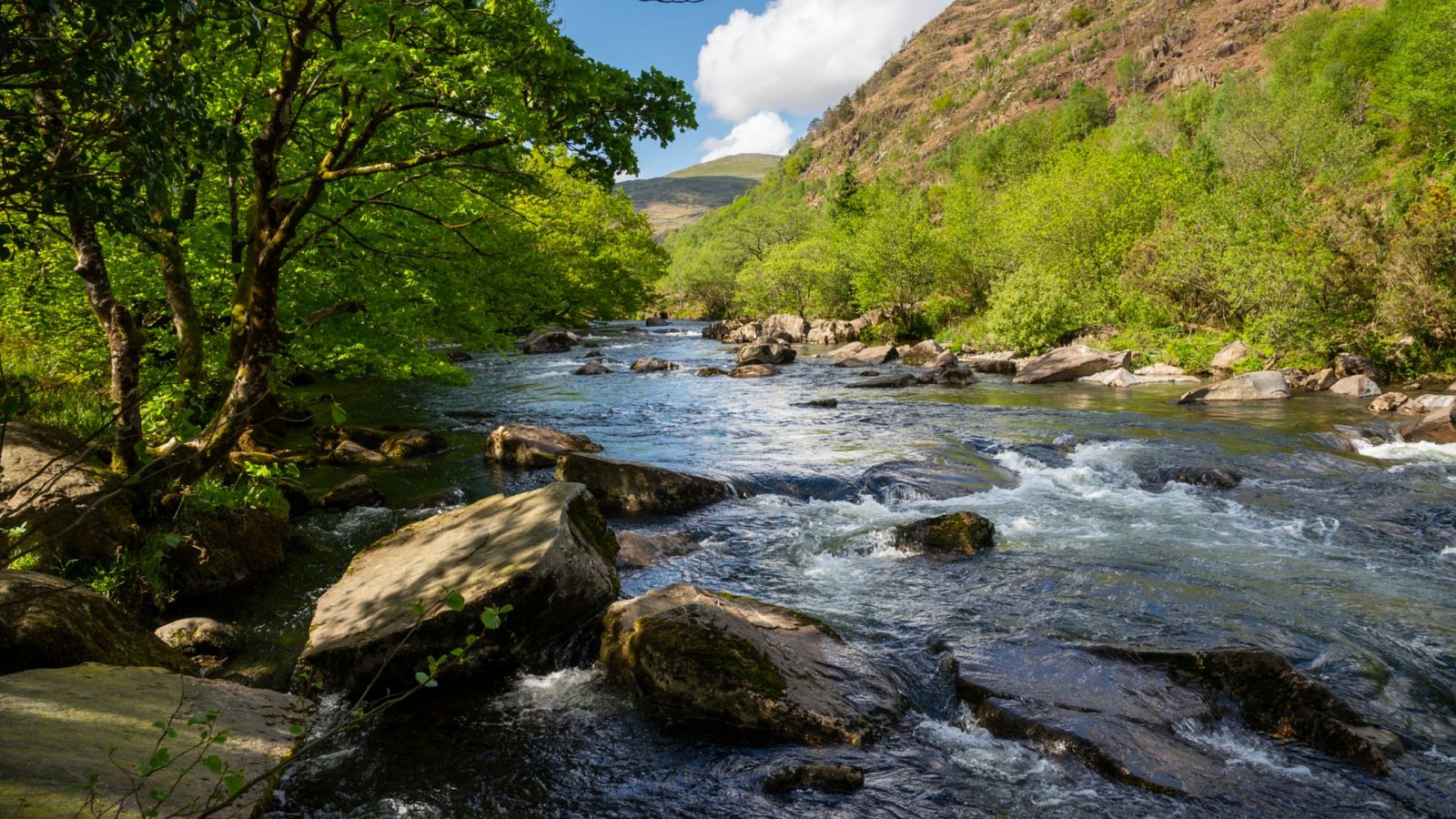 Curiosidades de algunos ríos del mundo
