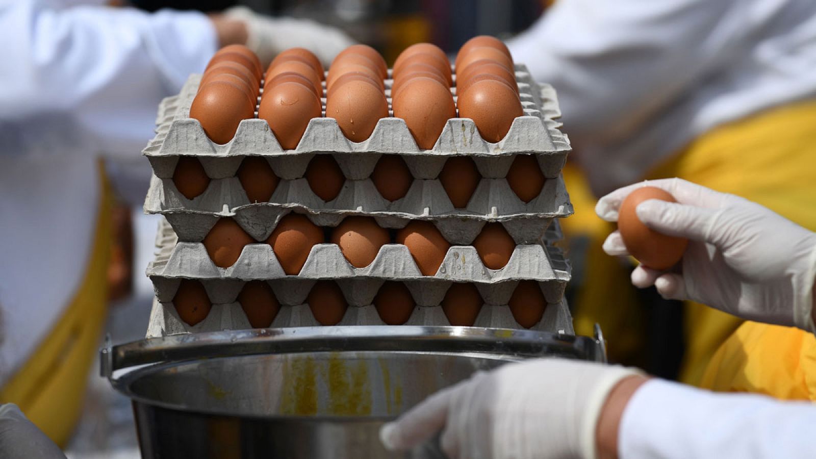 Imagen de archivo de varias cajas con huevos