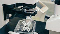 Cómo ser un 'Cazabulos' de la ciencia