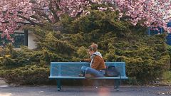 7 películas perfectas para ver esta primavera y celebrar los días de sol
