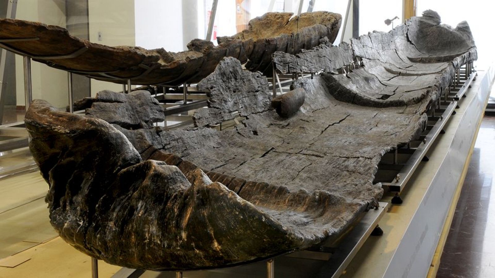 Canoa neolítica expuesta en el Museo delle Civiltà de Roma.