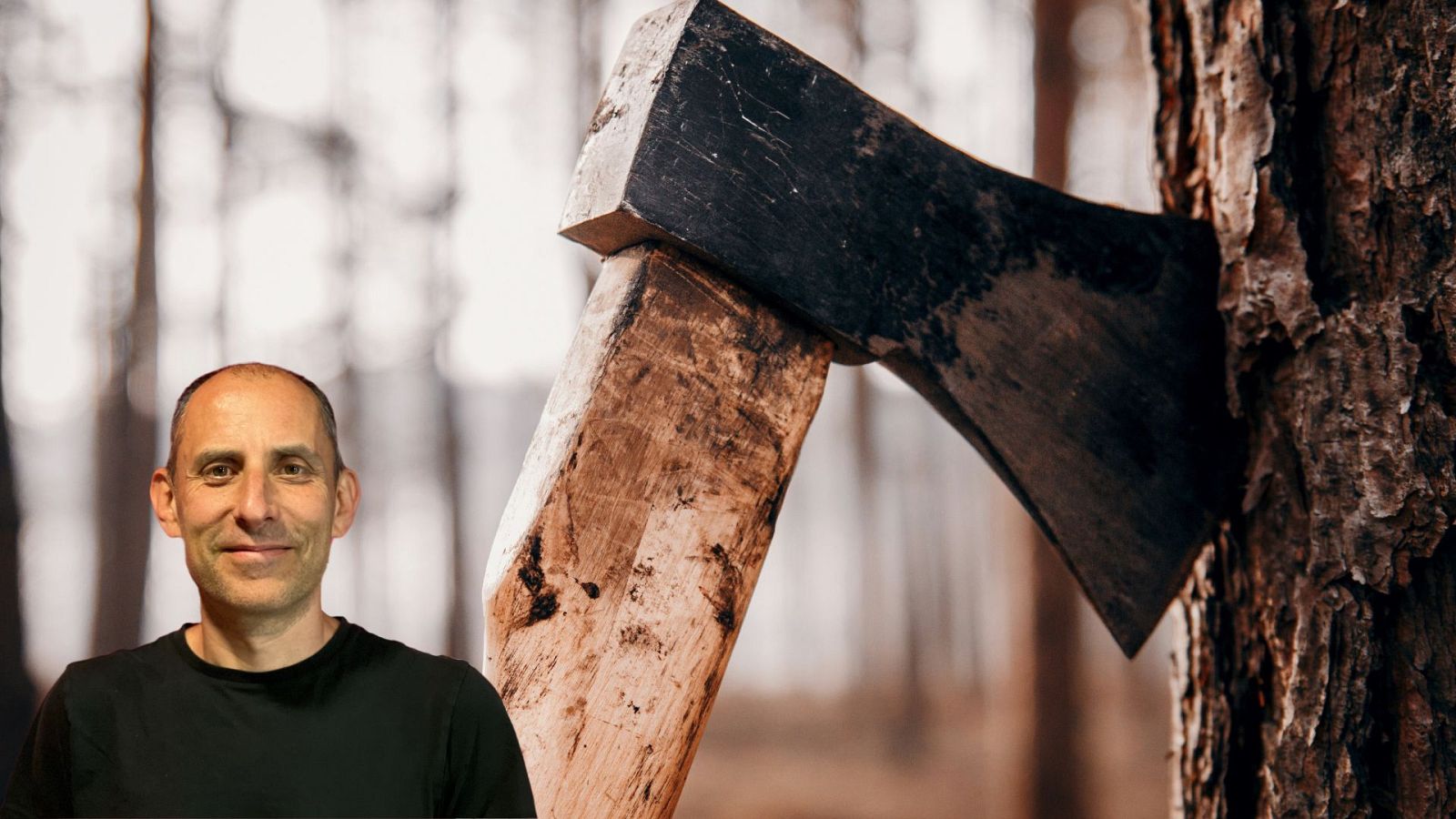 Julio Basulto - Hachazos