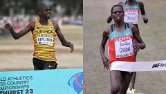 Horario y dónde ver en TV las distintas pruebas del Campeonato del Mundo de Cross de atletismo 2024