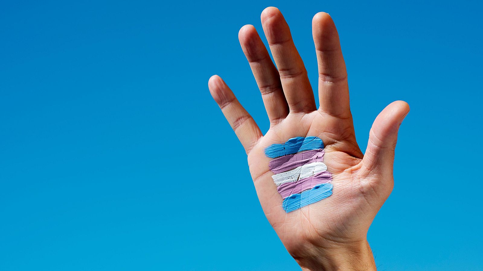 Bandera orgullo trans