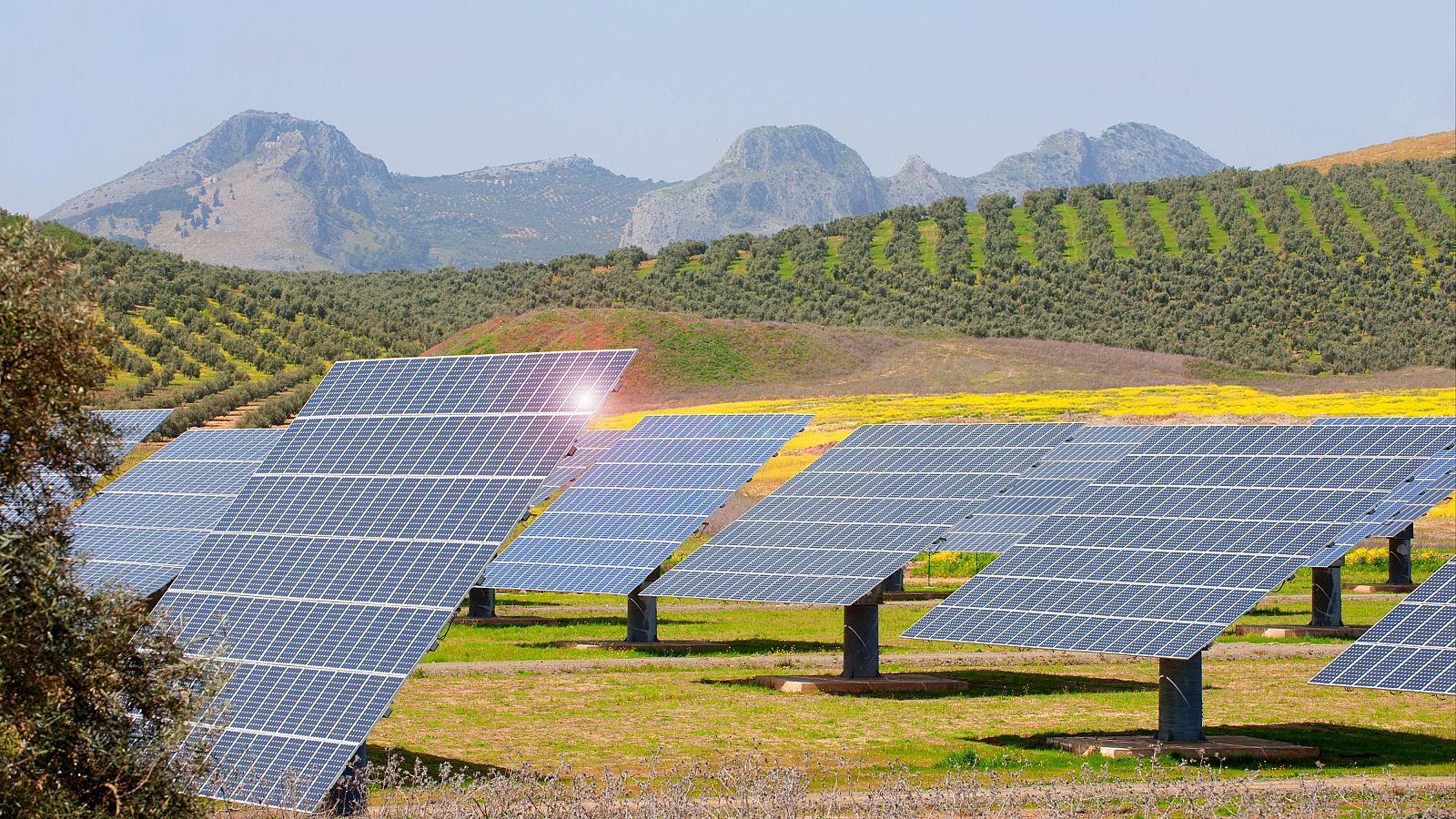 El precio de la luz se sitúa este domingo en torno a 0 euros/MWh hasta las 20.00 horas