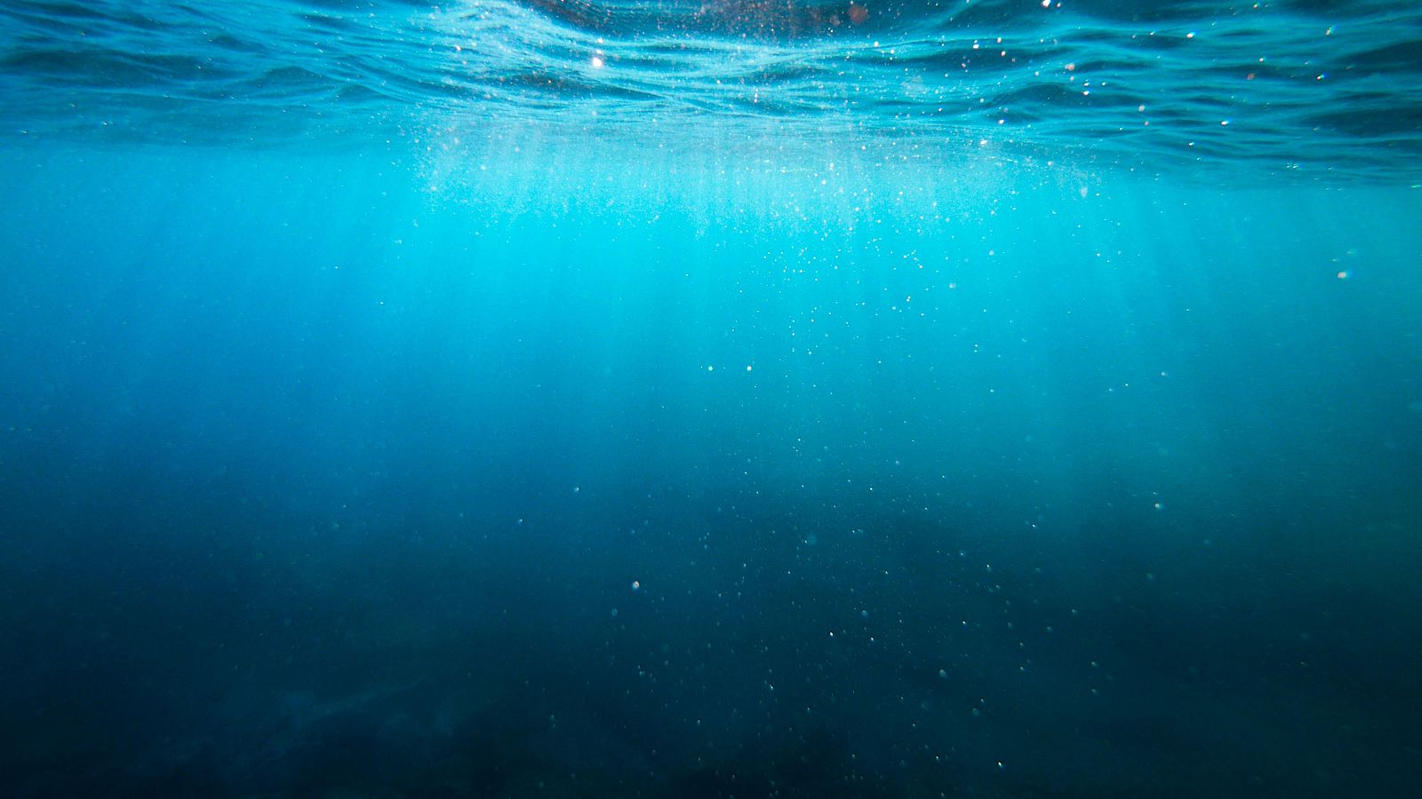 L'oceà serà el protagonista del 'Decenni de l'oceà'