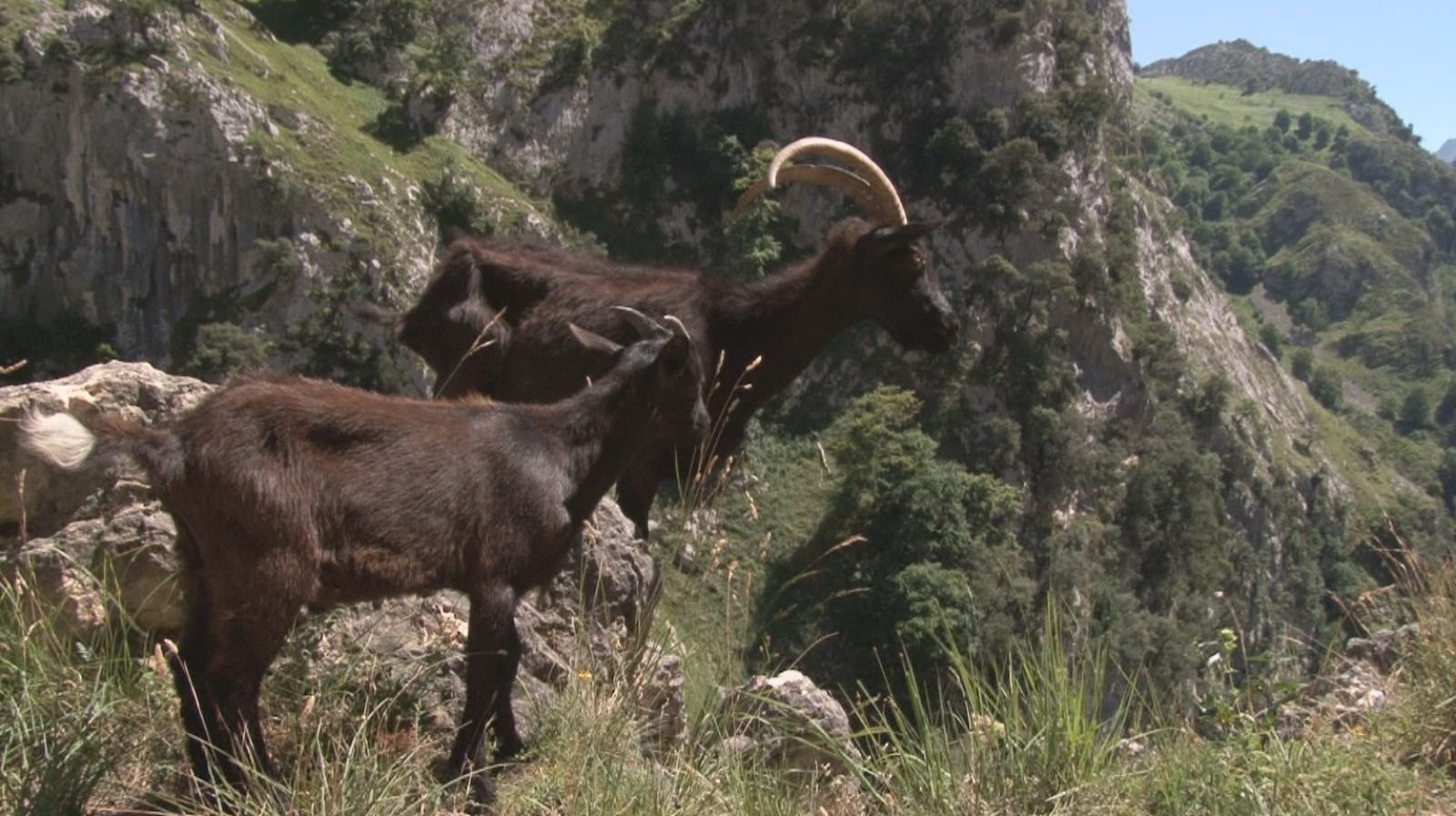Paseo por la Ruta del Cares