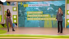 Quines són les 4 grans amenaces dels oceans i com afrontar-les