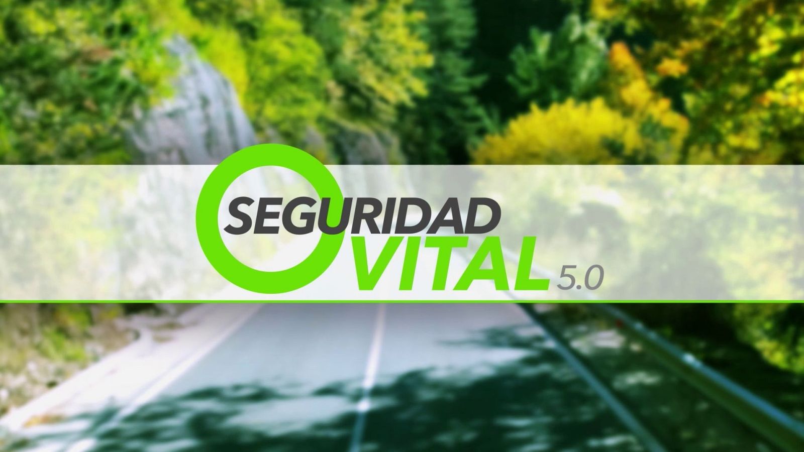 Seguridad Vital 5 (1)
