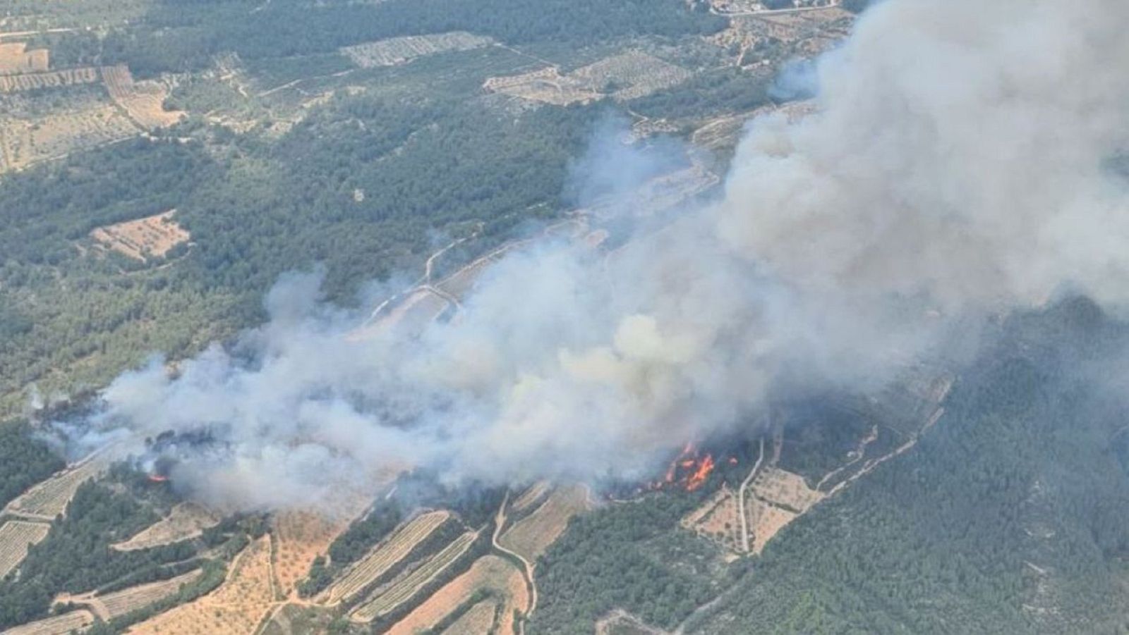 Nou pla d'emergències per lluitar contra els incendis aquest estiu