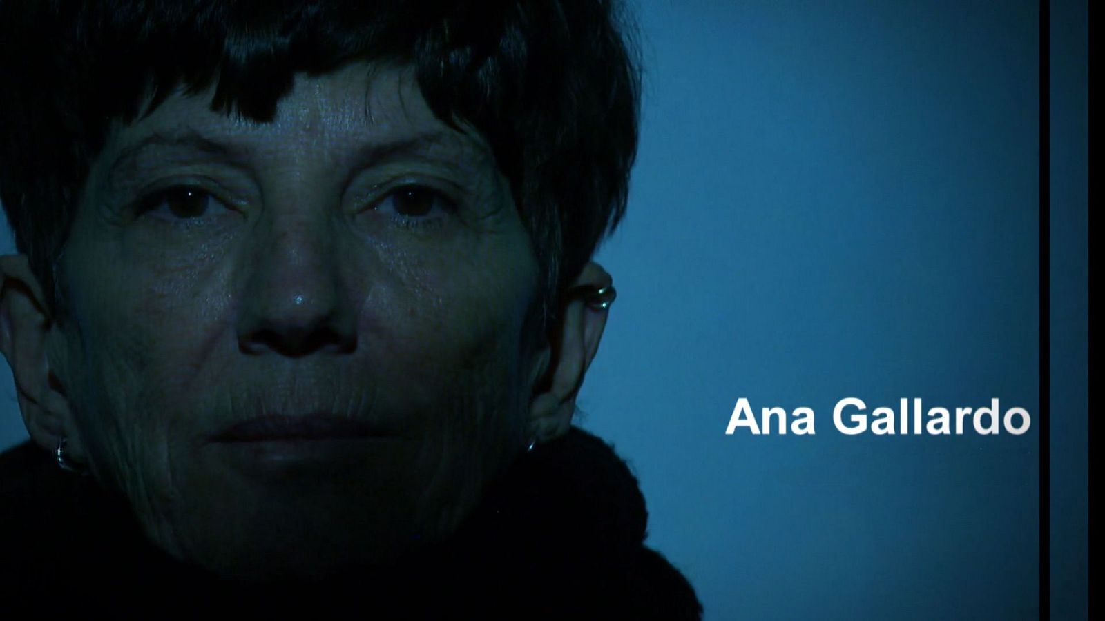 Ana Gallardo, del arte relacional al activismo