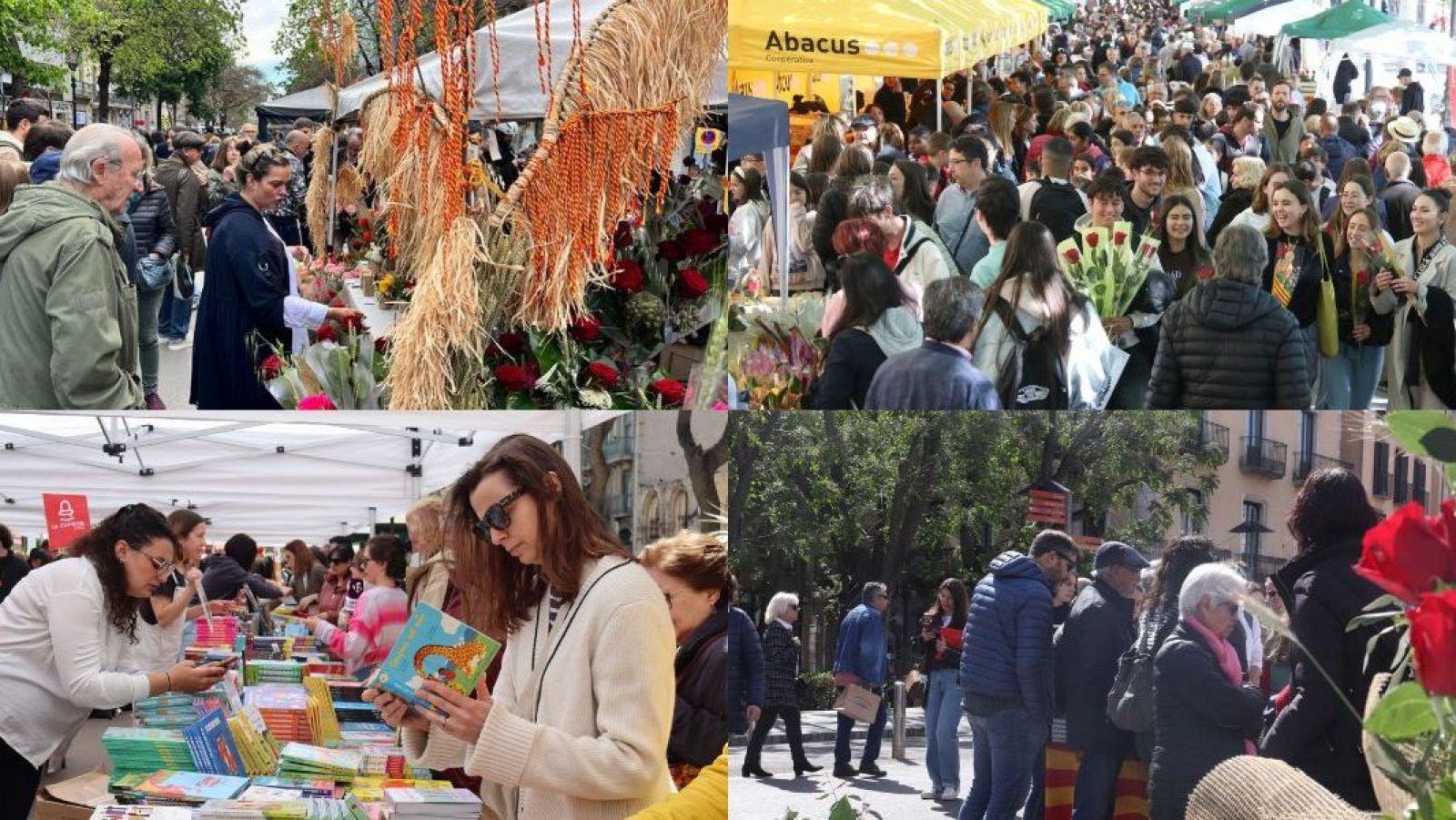 Així s'ha viscut la diada de Sant Jordi arreu de Catalunya.