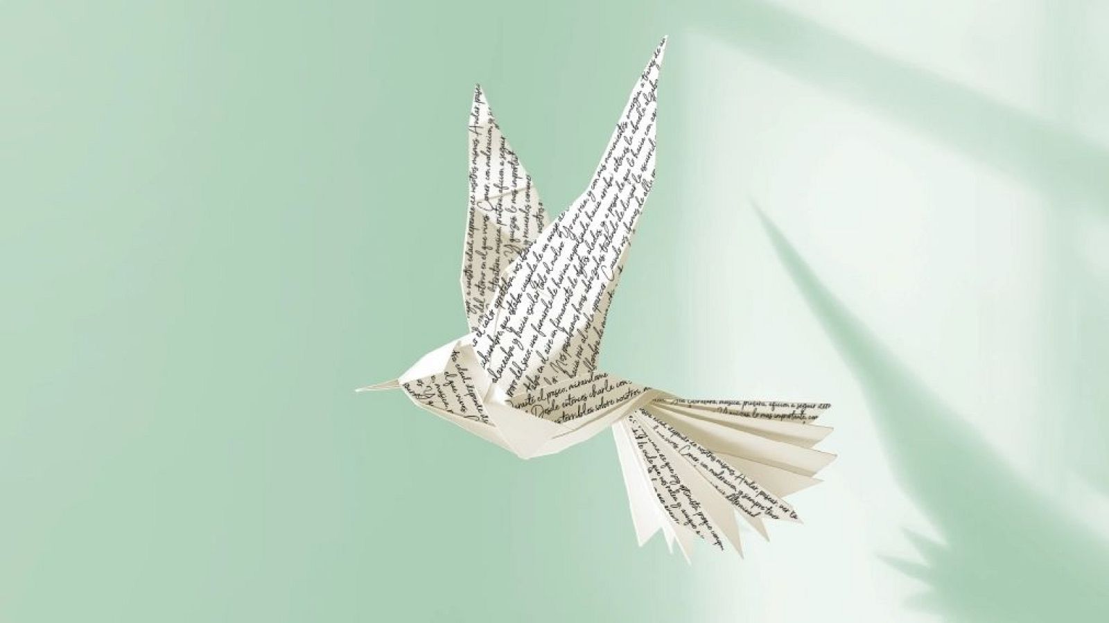 concurso relatos 2024 1920x574