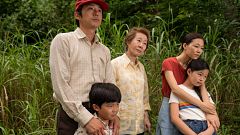 'Minari, historia de mi familia': el milagro de una pequeña película que logró 166 nominaciones y 76 premios