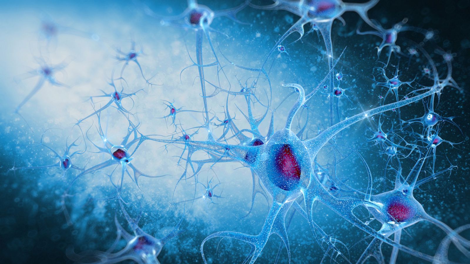 Representación gráfica de las neuronas del cerebro