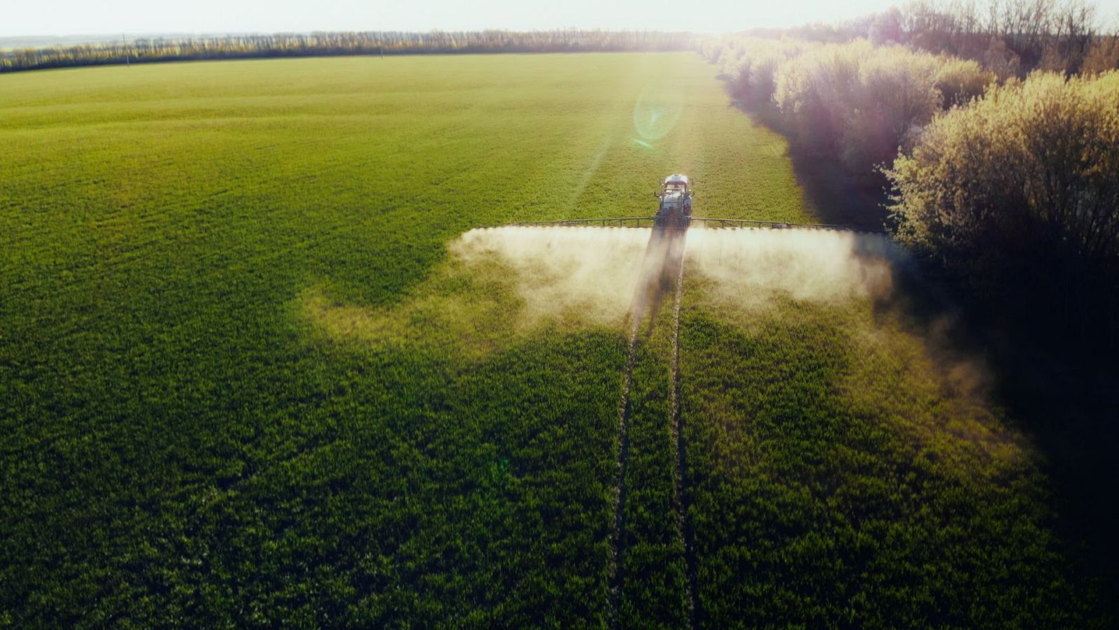Ni de regadío ni de secano: cómo se adaptará la agricultura al cambio climático