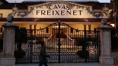 El Gobierno catalán no acepta la sequía como causa de fuerza mayor para aprobar el ERTE de Freixenet