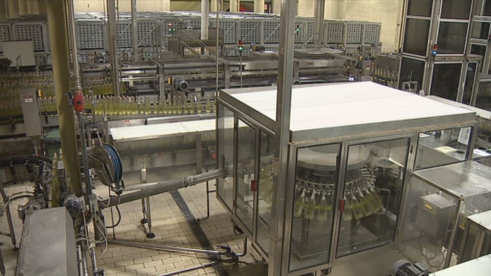 Cadena de producció i envasat de Freixenet a Sant Sadurní d'Anoia