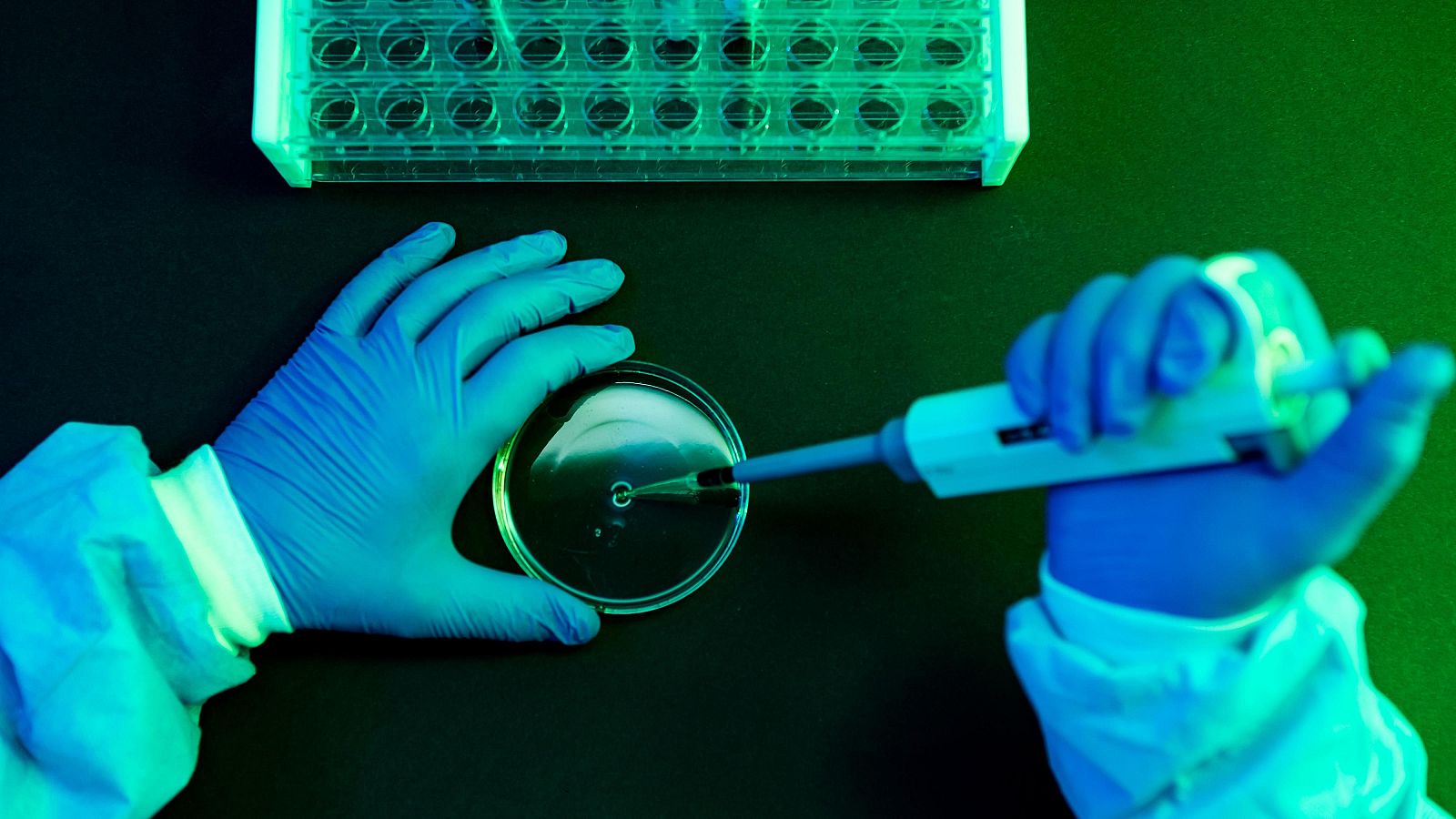 Cerca de 115.000 muertes se registran en España por cáncer