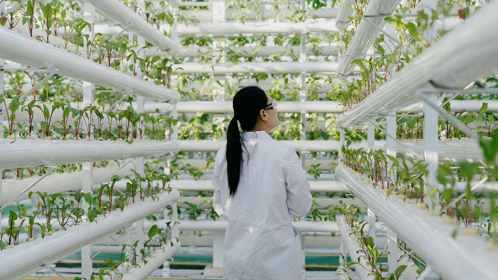 Plan Estatal de Investigación.