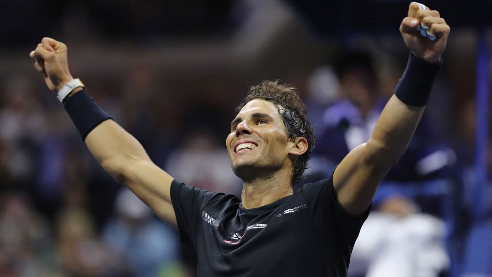 Nadal vence a Del Potro y se cita en la final con Anderson