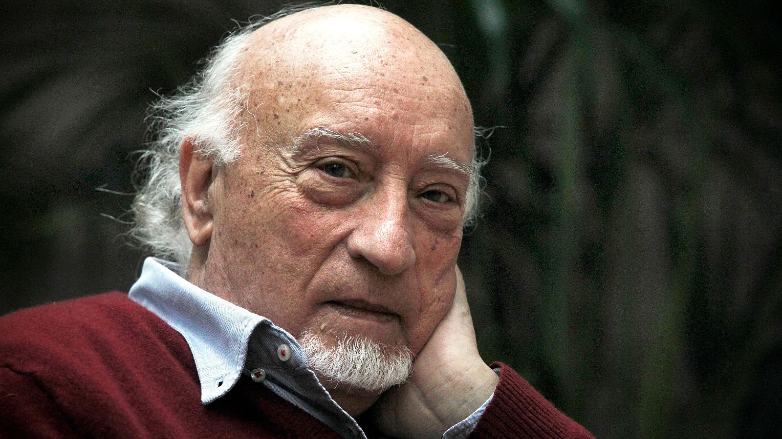 El escritor Manuel Vicent.