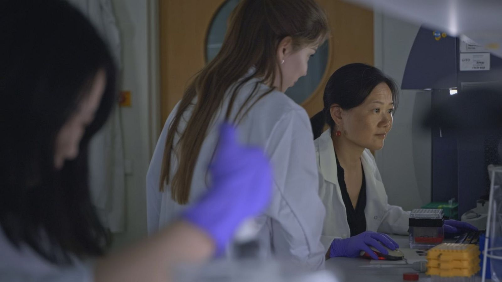 02 La noche tematica